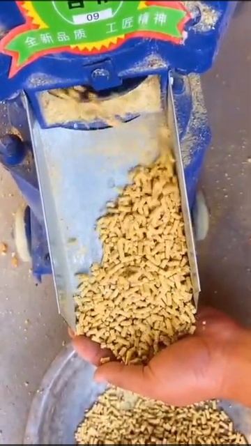 Do you know how to use corn to produce feed for cattle and sheep? смотреть онлайн
