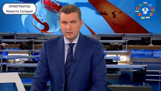 Как получить РВП по квоте / квоту на РВП в России. Пошаговая инструкция