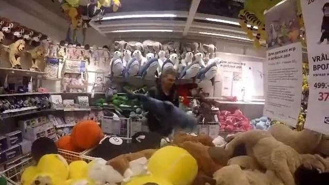 Shark in Ikea смотреть онлайн