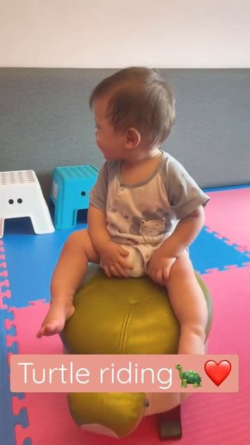 Riding a turtle #shorts смотреть онлайн