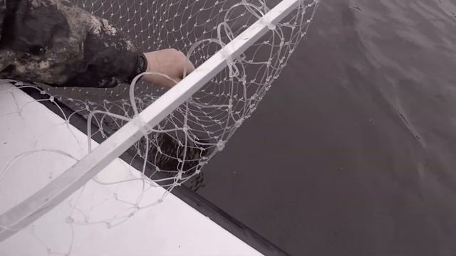 Москворецкая щучка смотреть онлайн