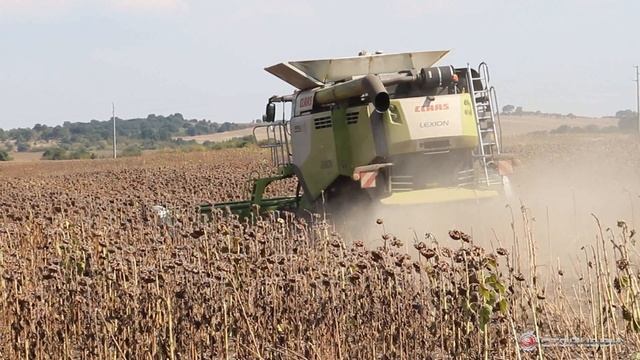 Strip-till sunflower in Bulgaria смотреть онлайн