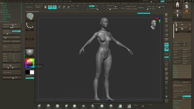 Zbrush Cloth CCAD Spring 2021 смотреть онлайн