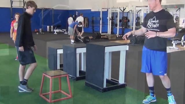 Seated Box Jumps смотреть онлайн
