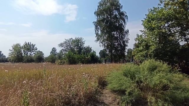 Дом в Деревне/ Life in the Village 2 / Из города в деревню/Липецк/7 пассажиров смотреть онлайн