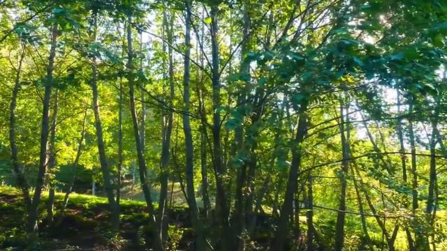 302.Видение "тонких миров" от Лены Калашниковой.10. 06. 2021г. Чёрная проказа Матрицы темного мира смотреть онлайн
