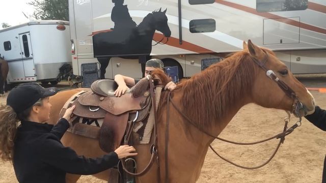 Mount horse without girth for educational purposes; proper mounting technique смотреть онлайн