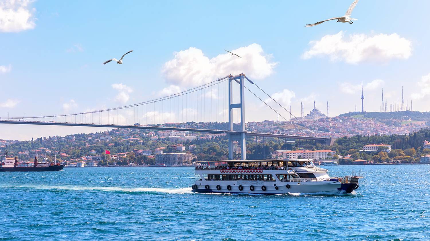 Турция: увлекательное путешествие на теплоходе по заливу Золотой Рог в Стамбуле (продолжение) смотреть онлайн