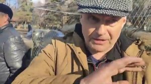 РОМА. ДОНЕЦКИЙ. ТОЛКУЕТ КАК. ВЫВЕЛИ. ДИМИТРОВСКУЮ. ПОРОЖУ. ГОЛУБЕЙ. ГОРОД. ЕНАКИЕВО ЯРМОРКА ВЫСТАВК