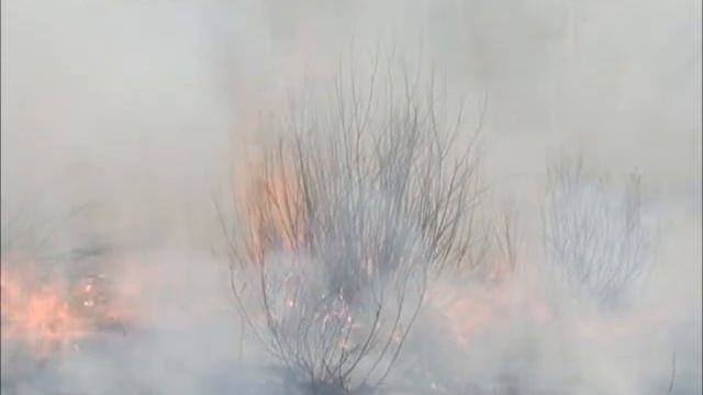 Комиссия ГОЧС по пожарам смотреть онлайн
