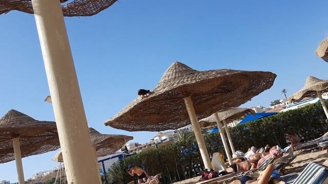 VLOG: КАК ЖЕ ЗДЕСЬ КРАСИВО В ШАРМ ЭЛЬ ШЕЙХЕ смотреть онлайн