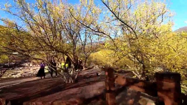 구례 산동의 매화마을의 봄 풍경 8일에 이어 11일 또 또 다녀왔습니다2020 03 11 Untitled смотреть онлайн