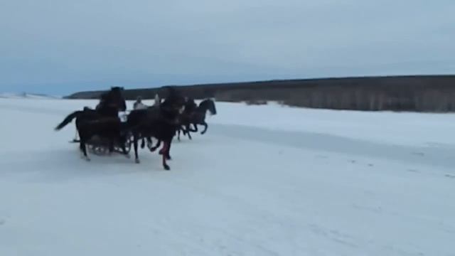 Тройки смотреть онлайн