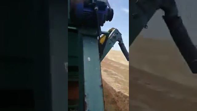 Зерноочиститель ПСМ-5 экспресс-обзор от Андрея Абросимова