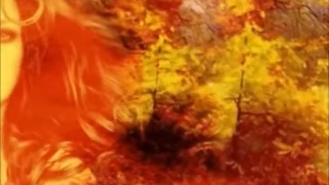 Autumn leaves смотреть онлайн