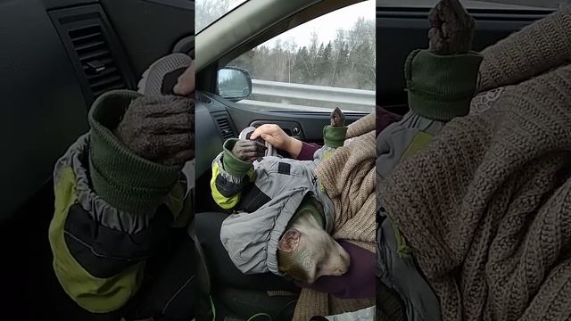 Уставший "ребёнок" смотреть онлайн
