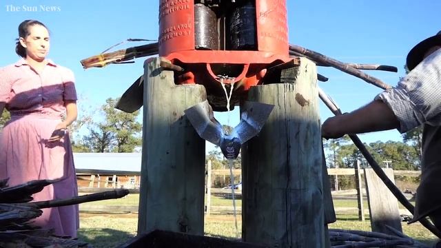 Sights and sounds of traditional sugar cane mill at L.W. Paul Living History Farm смотреть онлайн