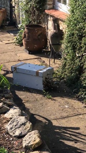bees keep coming 11 may 2019 смотреть онлайн