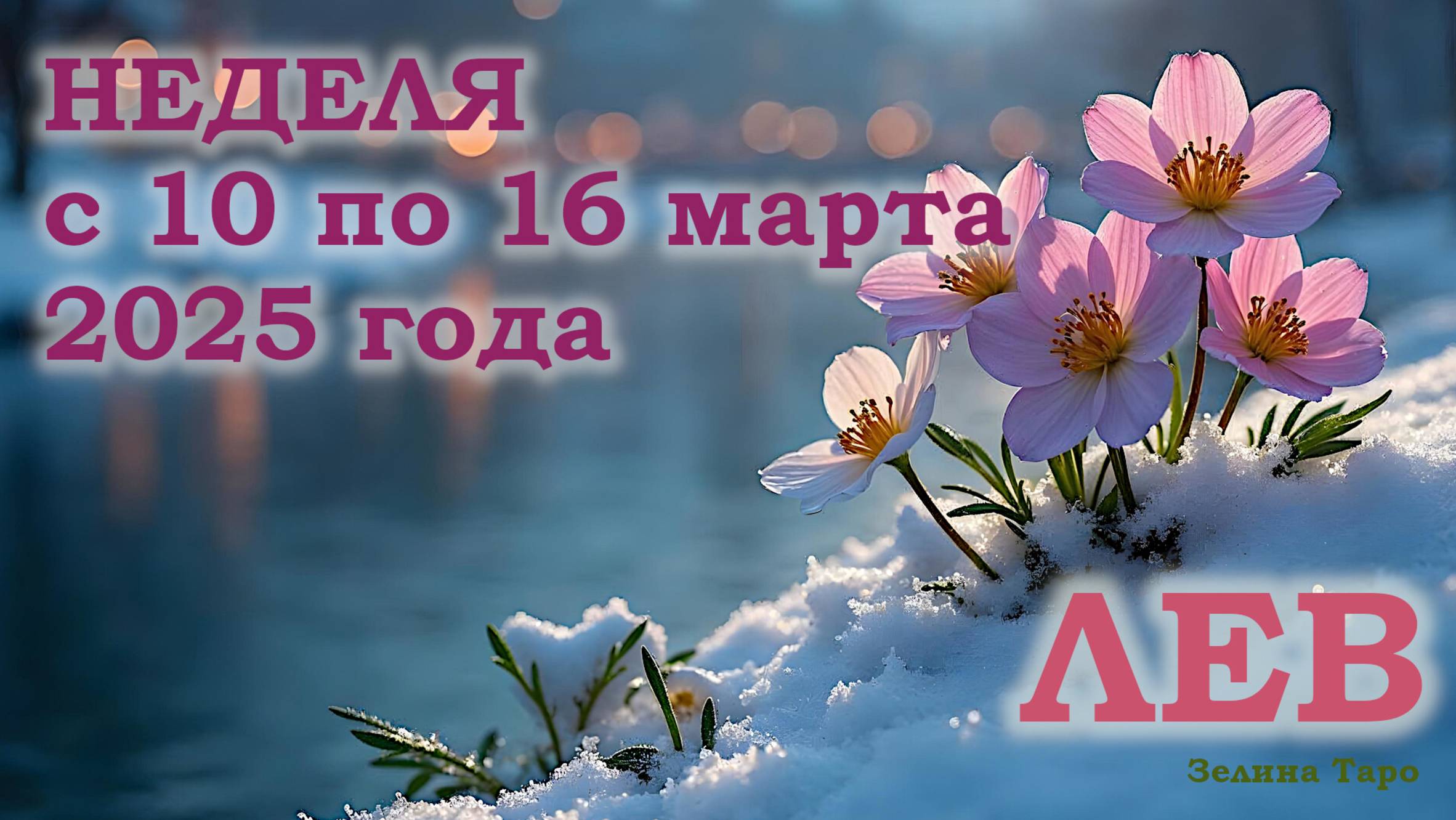 ЛЕВ | ТАРО прогноз на неделю с 10 по 16 марта 2025 года