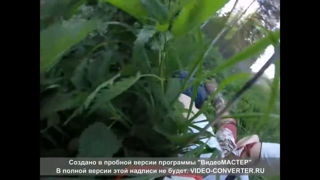 Нетрезвый водитель напал на эндуриста + Biting Elbows смотреть онлайн