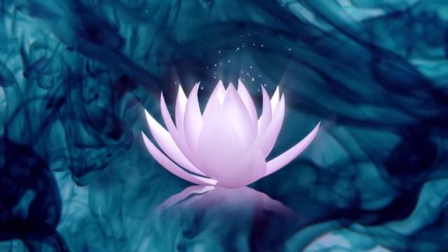 Lotus Presentation смотреть онлайн