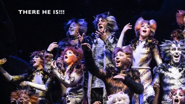 CATS Makeup Time Lapse - John Anker Bow смотреть онлайн