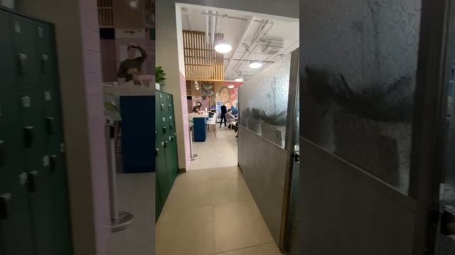 Аптекарская, 18, аренда, 440 м2, лот 70566 смотреть онлайн