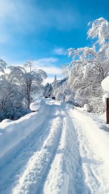 WhatsApp status #shorts #winter #winterspecial смотреть онлайн