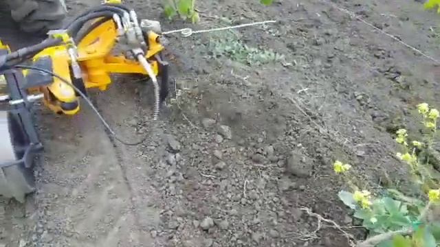 Чик чик на виноградники смотреть онлайн