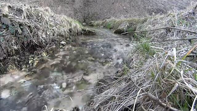 Медитация родник под музыку Koshi смотреть онлайн