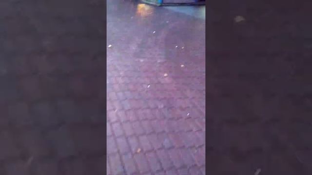 Парке Якутова #прогулки #гуляем #отдых смотреть онлайн