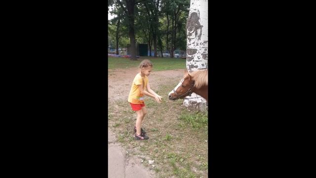Мой маленький пони, кормим пони с шикарной гривой #shorts #шортс смотреть онлайн