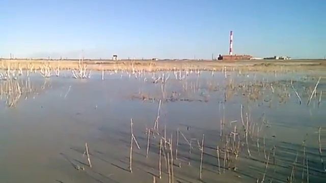 Золоотвал ТЭЦ-1 смотреть онлайн