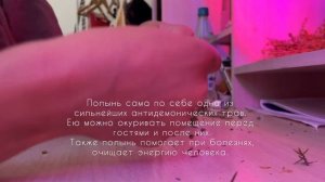 СКРУТКИ ИЗ ТРАВ, пошаговое руководство 🌈✨