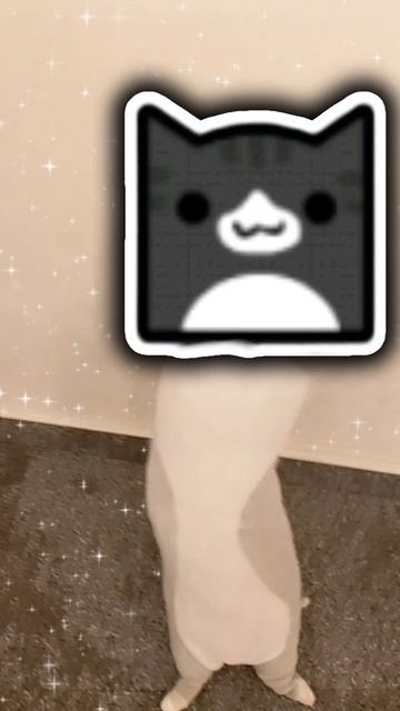 Catody бит смотреть онлайн