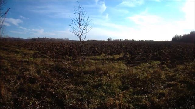 ✔Один🙀 в глухом лесу🌲🌳 В поисках ⛏️золота💰 и …Часть 3✔ смотреть онлайн