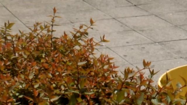 HTC One Mini 2 prova video 1080p da TuttoAndroid.net смотреть онлайн