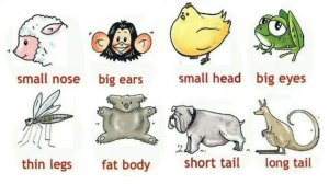 Spotlight 3. Modul 5. стр.76