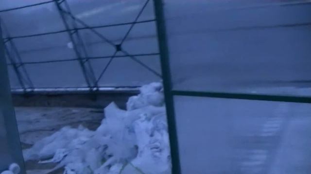 00013 тобольск смотреть онлайн