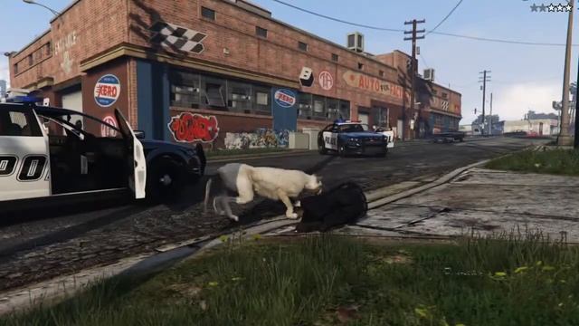 GTA V Peyote 2/27 Puma