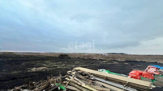 11593277 смотреть онлайн