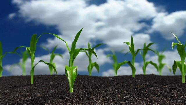 Growing plants смотреть онлайн