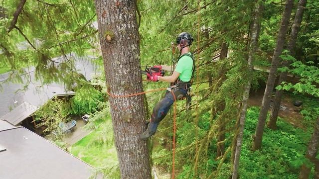 MILWAUKEE M18 Top Handle Chainsaw is the ULTIMATE SOLUTION for Outdoor Power Equipment! 2826-20T смотреть онлайн