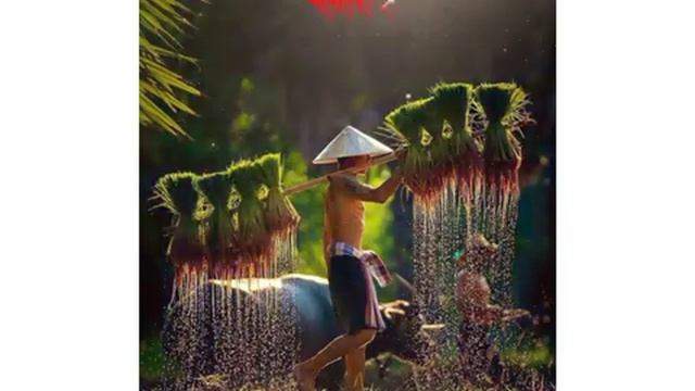 #Old Assamese Status Video🥰|| Dukhiya Jibon Mur Mora Obhoga 💞|| New Assamese WhatsApp Status 💞#Shor смотреть онлайн