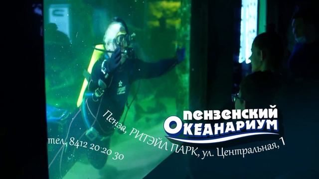 Океанариум 2021 смотреть онлайн