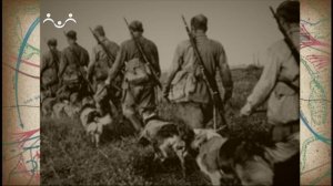 Аты-баты. Животные в армии