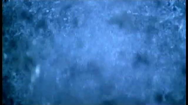 Тату - Не верь, не бойся, не проси смотреть онлайн