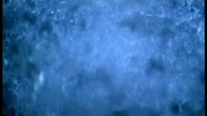 Тату -  Не верь, не бойся, не проси