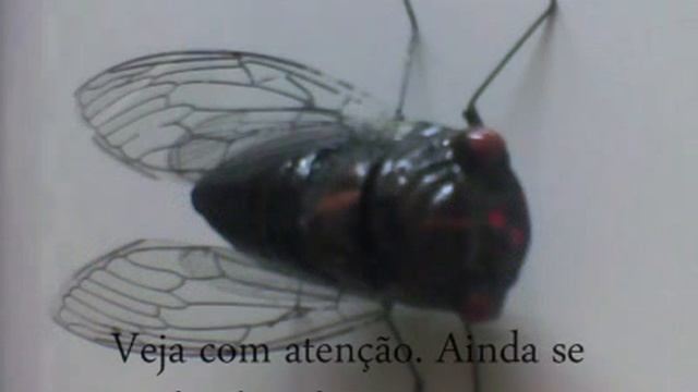 INIGMA смотреть онлайн