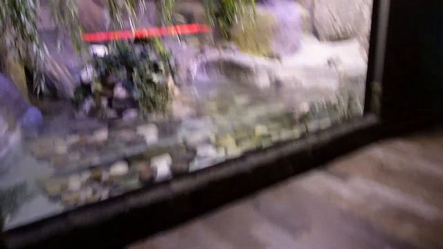 Αntalya Αquarium. Отпуск с детьми Турция.
